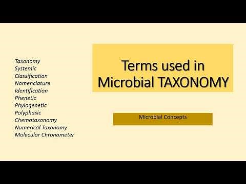 Terms used in Microbial TAXONOMY | Microbiology | Biotechnology | Systematics Phenetic Phylogenetic