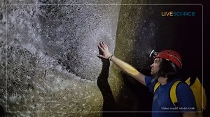 A giant colonial spiderweb in a sulfuric cave on the border between Greece and Albania may be the largest ever found — and it was built by spiders we didn't know liked the company of others. | LiveScience