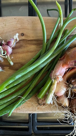 Dibber & Boots - Ballarat’s Home, Lifestyle & Garden Shop on Instagram: "🧅 walking onions are ... • too easy to grow • perennial • greens can be harvested year-round • versatile in the kitchen • good for you • the greens are low FODMAPS • the bulbs are high FODMAPS • available now: $1/bulb ~ while stocks last ~ Pop out to see us in the shop for the best ways to take full advantage with good tools, and trade techniques. 🎆 Gift cards available 🌌 🏠 Open in the old schoolhouse • Sat/Sun 10-5pm •