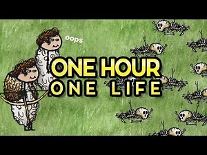 One Hour One Life