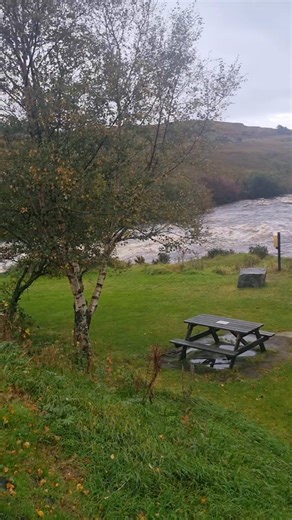 52K views · 366 reactions | Carrick On Line on Reels | Facebook