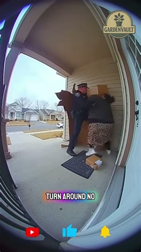 Box Pops—Cop Appears 😱📦 (Caught on Ring Camera)