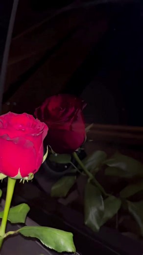 Ourlittlesecret (@71528ourlittlesecret)’s videos with original sound - 🇦🇪𝓡 🕊️