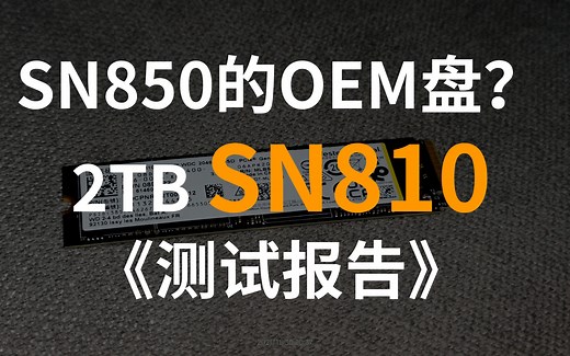 【然天一】2048G西数SN810详细评测--对比PM9A1
