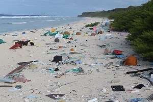 285K views · 48 reactions | Plastic bottles, toothbrushes, razors... The amount of litter on Henderson Island is threatening the lives on birds and fish that live nearby. | Newsbeat | Facebook