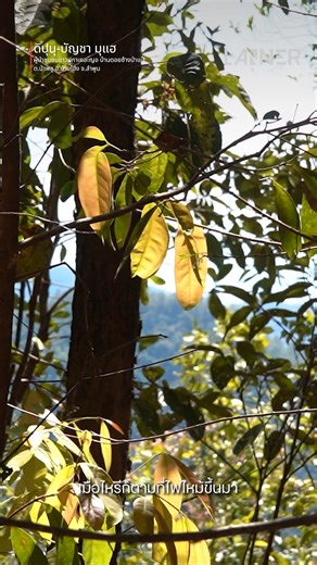 15K views · 98 reactions | ระบบ IOT หรือ Internet of Things...