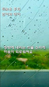 뒤늦은 후회 -현이와 덕이