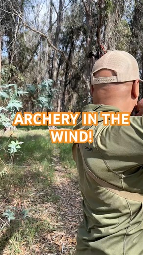 In a 10+ MPH left to right wind, how much windage are you holding for with your compound bow!?