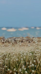 Barcella on Reels | Facebook