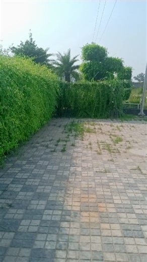 tum hi aana marjava #trending #viral #song #viral #sort #viral #reel #viral #video