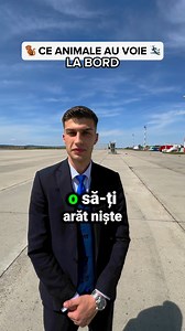 721K views · 6.7K reactions | Astăzi, îți spunem ce animale sunt binevenite la bord și ce animale ar trebui să-și rezerve un loc... pe pământ!  Spoiler alert: cățeii și iepurașii sunt în top. Păsările, deși pot să zboare, o pot face doar cu propriile aripi, pentru că în avion nu sunt binevenite! ❌ | DAN AIR | Facebook