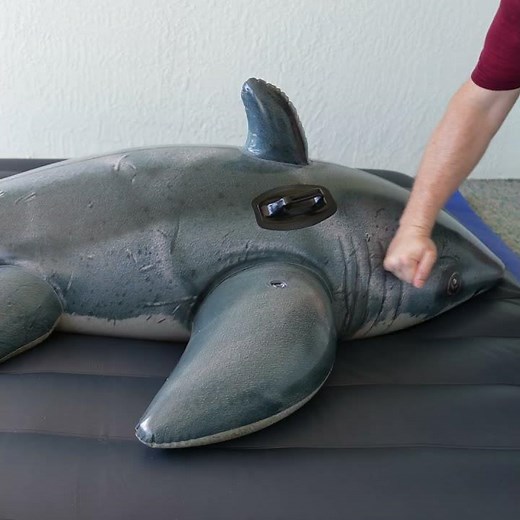 Inflatable Shark Filled with Water