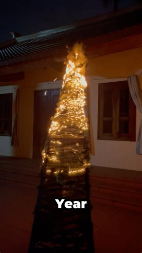 Steel Wool Flammability Test 🔥 Giant Fire Tree - Happy New Year #sciencefacts #facts