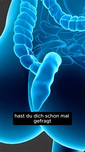 Medizin_Erklärt on Instagram: "Schon mal gefragt, wie eine Darmspiegelung wirklich abläuft? 🩺 Viele haben Angst davor , dabei ist die Untersuchung kurz, sicher und kann ernsthafte Krankheiten wie Darmkrebs frühzeitig erkennen. Mit der richtigen Vorbereitung und Sedierung bekommst du davon oft kaum etwas mit. Vorsorge kann Leben retten, also informier dich rechtzeitig und schieb es nicht auf. #Darmspiegelung #VorsorgeUntersuchung #Darmgesundheit #Gesundheitswissen #Krebsprävention"