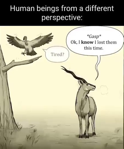 Human beings from a different perspective: Ok, fost them this time. - iFunny