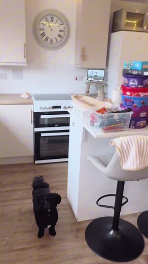 Cleaning mode ACTIVATED!!!! #cleantok #cleaning #kitchenclean #motivated #cleaningmotivation
