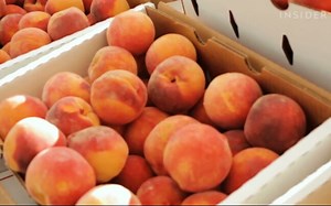 【Food Insider】The Most Iconic Food In Every State | 50 State Favorites