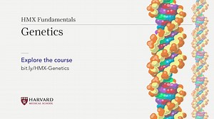 2.8K views · 117 reactions | There’s never been a more exciting time in genetics. HMX Genetics instructors Christine DeGennaro, Robert Green, and Carrie Blout explain why. Learn more about the course: https://buff.ly/2GbD3Hu | HMX - Harvard Medical School | Facebook