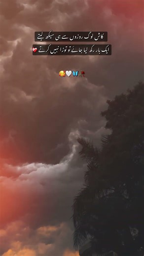 Kash... 🥀⛈️🥺 #shotsvideo #poetry #poetry #fpyシviral