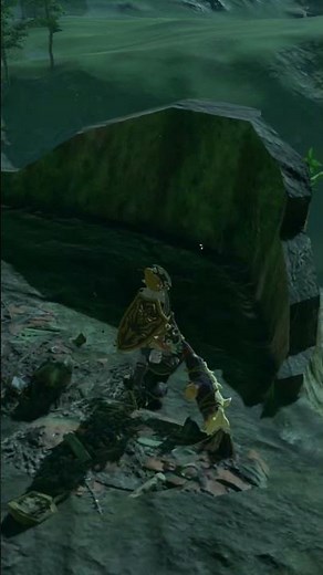 Ancient Tree Stump - Zelda Voice Memory 075 #Zelda #breathofthewild #botw