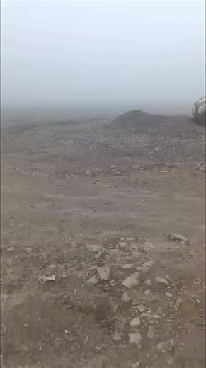 Como dijo Rolón #elegir #irse