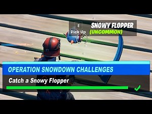 Catch a Snowy Flopper Fortnite