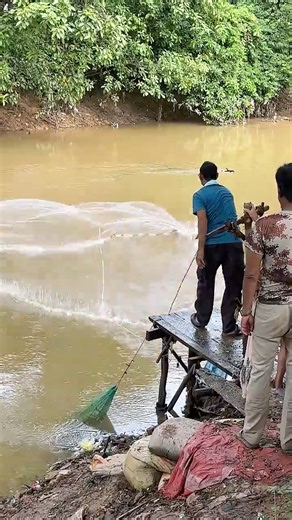 Running around like a headless chicken