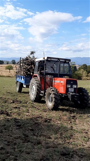 Massey Ferguson 3060 #farming #agriculture #masseyferguson3060 #vezirköprü