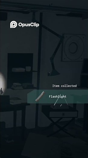 Blackout Mystery Find the Flashlight and Enter th