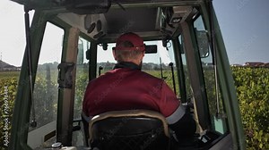 View from the cabin of an agricultural tractor with a driver at the wheel, feeding between rows of grape bushes
