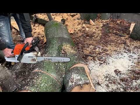 Stihl ms 231
