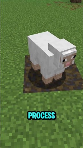 2 Truths 1 Lie | Part 14 #minecraft