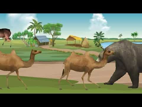 Donkey monkey horse elephant zebra haryana bear jungle mein rahane wale tamam janvaron ke cartoon