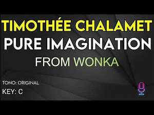 Timothée Chalamet - Pure Imagination (WONKA) - Karaoke Instrumental