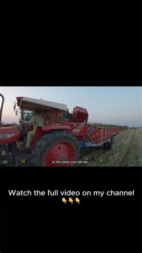 Harvesting Corn with a Combine — Real Farm Life in the Fields🌽 #rurallife #villagelife #documentary