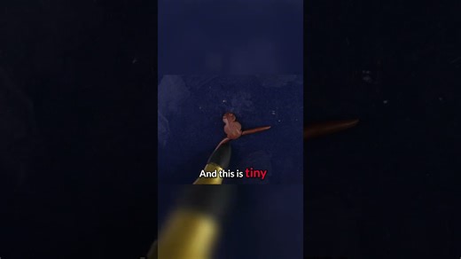 I tried creating a Harry Potter back bling!