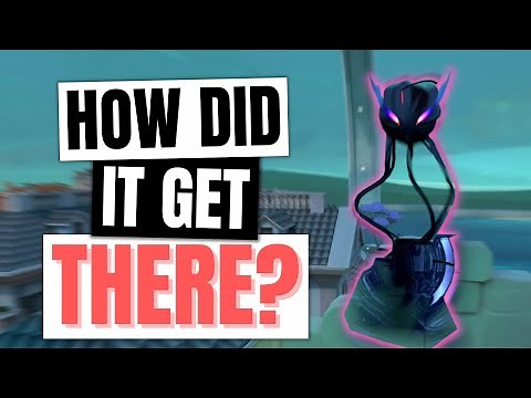 The BEST Fade Lineups on Pearl FOR YOU!