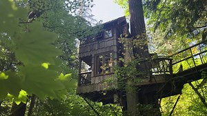 TreeHouse Point offers extraordinary escape