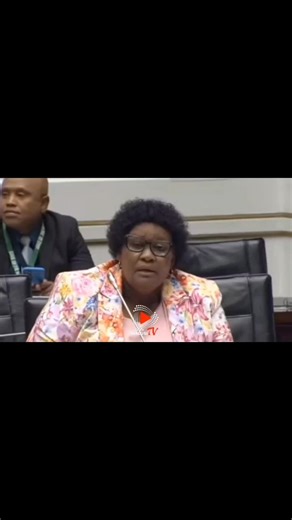 Thokozile Sokanyile ebuza uPaul O'Sullivan ukuthi kungani wayesabisa uNkabinde mhla ethula ubufakazi ePhalamende