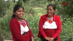 10K views · 28 reactions | El cinemexicano contemporáneo retrata a los indígenas de manera audaz. #VideoNTX | Notimex | Facebook