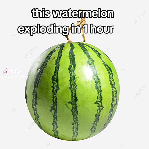 Credits To : @n0s0uls_ #watermelon