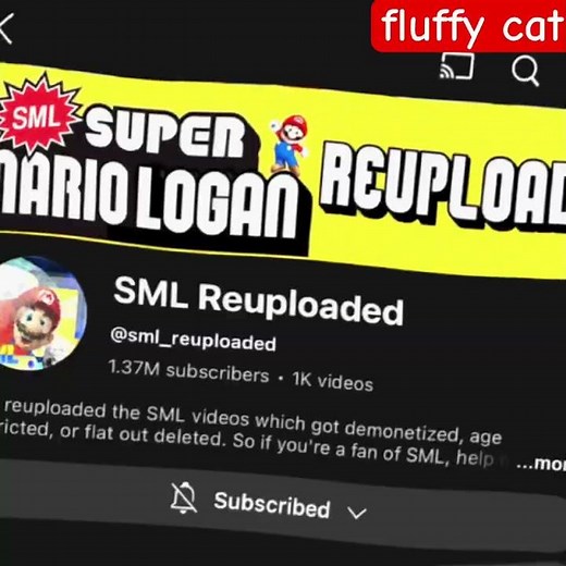 Thank you for saving our memories SML reuploaded ￼