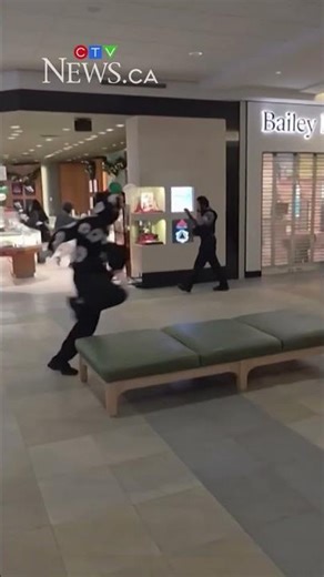 Five arrested after Georgian Mall heist involving pepper spray and hammer