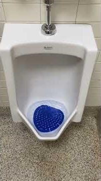 Publix Men’s Restroom