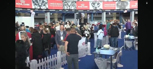 FIFe World Winner Show 2025 - Romania Livestream livestream 🔗: http://hqlivestream.com/fife-world-show/ Watch full live http://hqlivestream.com/fife-world-show/ 🐈 enjoy live SATURDAY | live SATURDAY: #fife #fifeworldshow #fifeworldshow2025 | FIFe WORLD SHOW Romania 2025