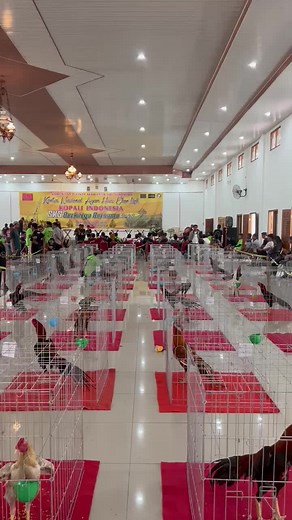 Indoor Poultry Show Featuring Diverse Chicken Breeds