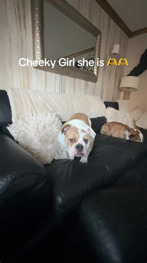 anth (@anth1444)’s videos with original sound - anth