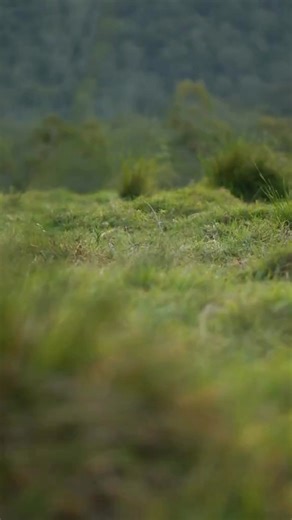 Check Out Our Weed Wiper Bundle Deals. Got any questions? Feel free to call and have a yarn on 1300 326 453. | Ag Superstore