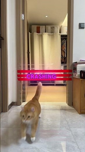 The Ultimate Invisible Tape Challenge! 😹