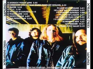 Screaming Trees-Winter Song (Acoustic)